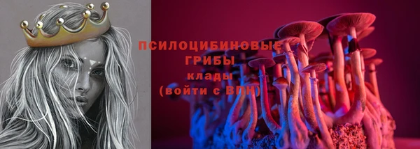 хмурый Мегион