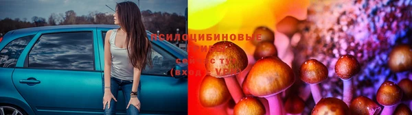 хмурый Мегион