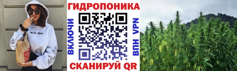 Шишки марихуана семена  Купить  Березники 